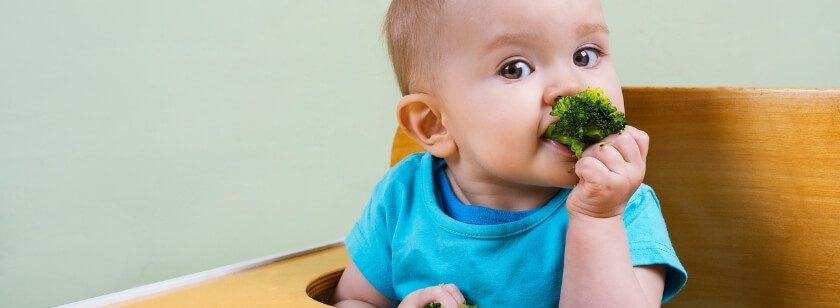 Método de alimentação BLW para bebês