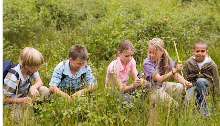 Contato com a natureza: 5 benefícios de incentivar esse hábito desde a educação infantil