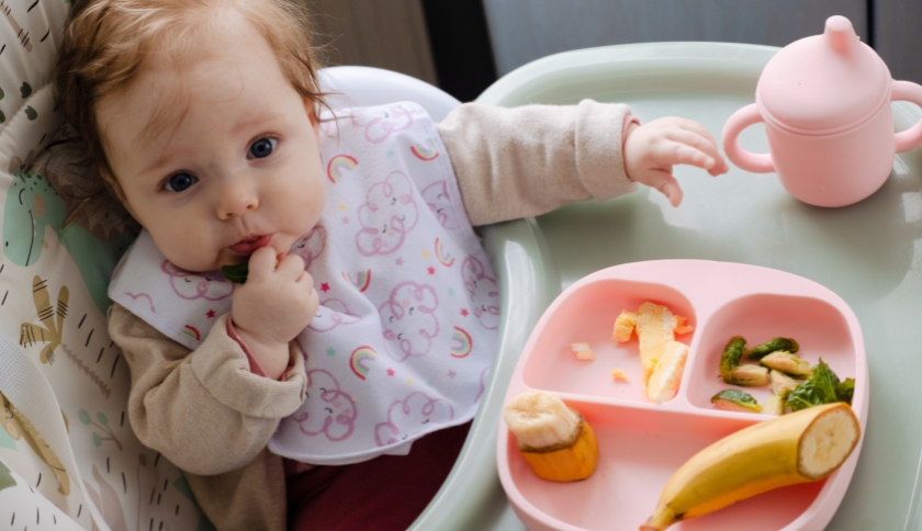 Introducao alimentar complementar correta para os bebes