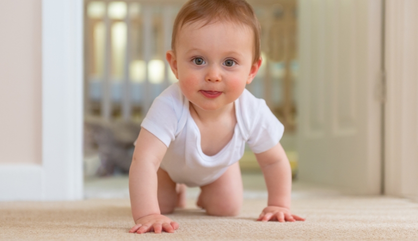 Bebê de 6 Meses: Guia do Desenvolvimento, Marcos e Rotina